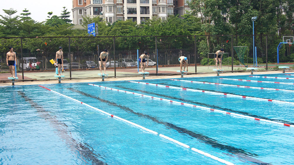2016游泳比賽
